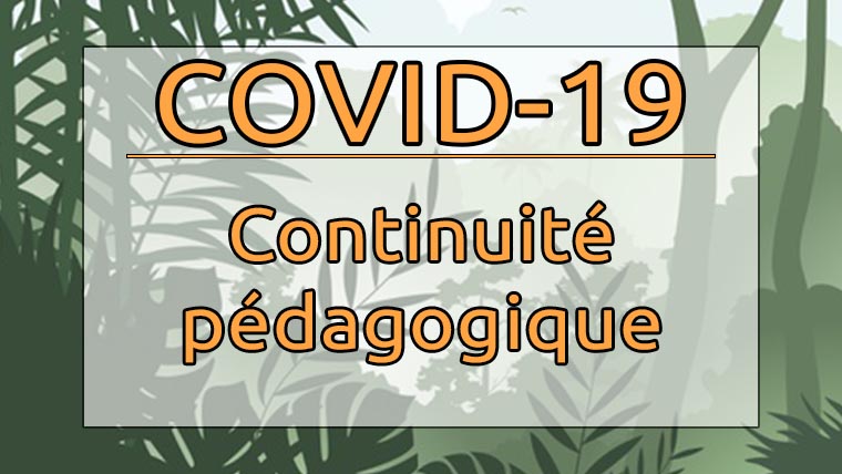 COVID19 - Continuité pédagogique